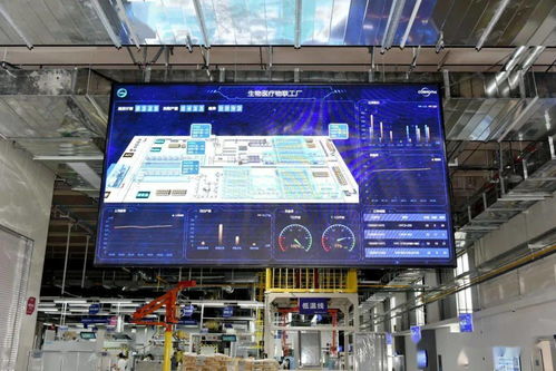 探秘青岛高新区 年产20万台的海尔物联工厂，如何以“硬核”科技链接全球低温冷链