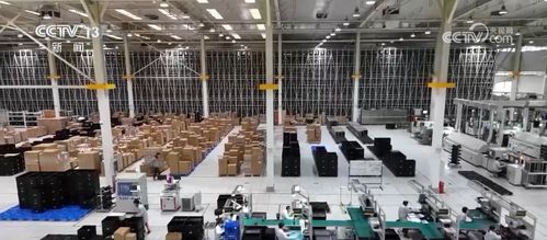 沪通全球 新航线织密网络，中国制造扬帆出海